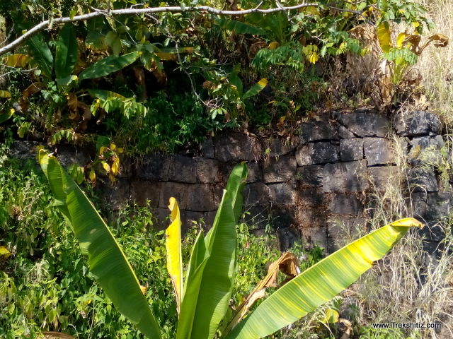 Ghotawada Fort (Gotara)